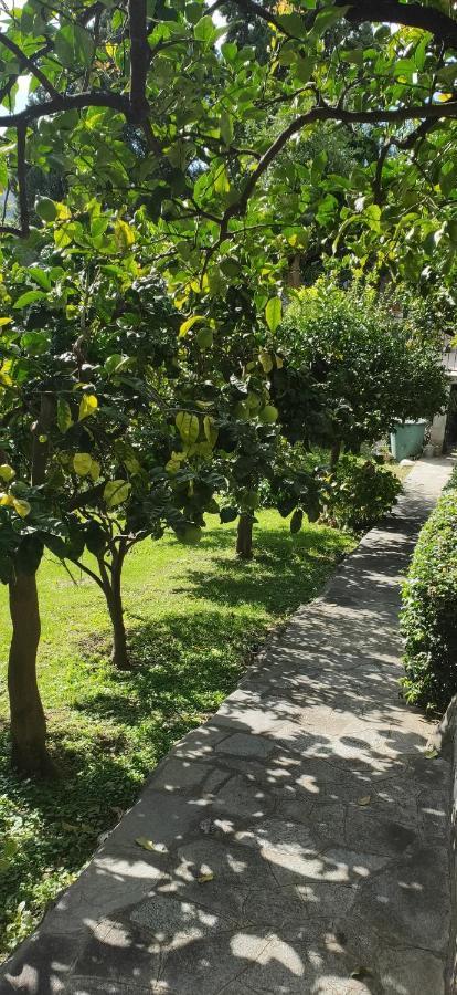 B&B Oasi Regina Pacis Santa Margherita Ligure Eksteriør bilde
